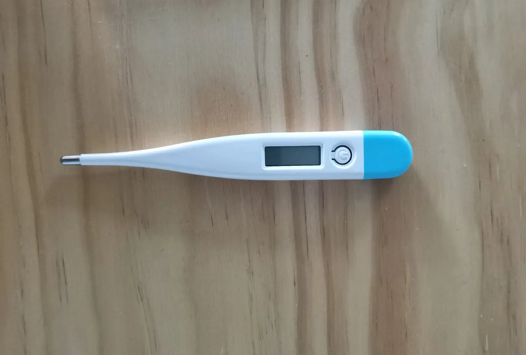 Digital Water Thermometer Accurate Oral and Armpit Temperature Reading Fever Alert Termometer Baby Bath Thermometers